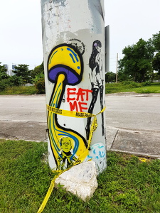 Street Art Miami
