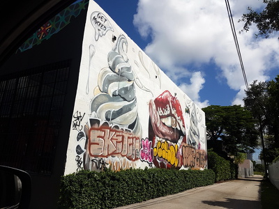 Street Art Maimi