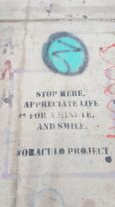 Street Art Maimi