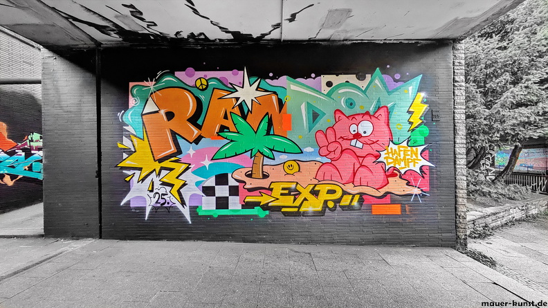 d004 @random_exp.jpg